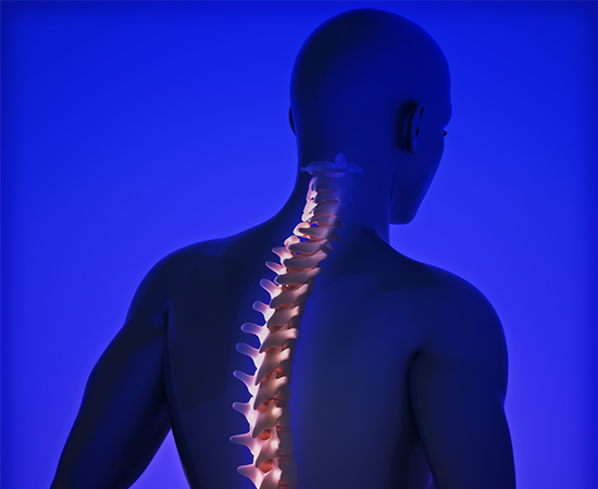 Spine and Joints Pain